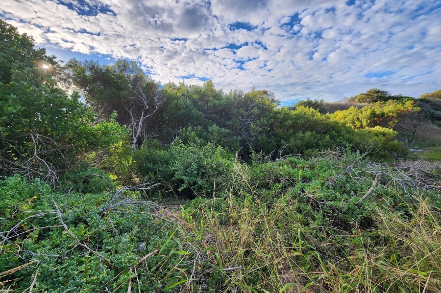 0 Bedroom Property for Sale in Paradise Beach Eastern Cape